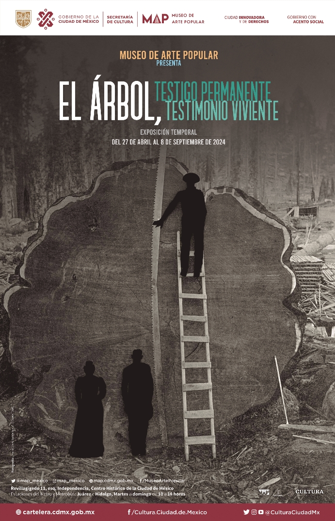 anverso_arbol_cms.jpg